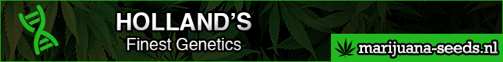 marijuana-seeds.nl